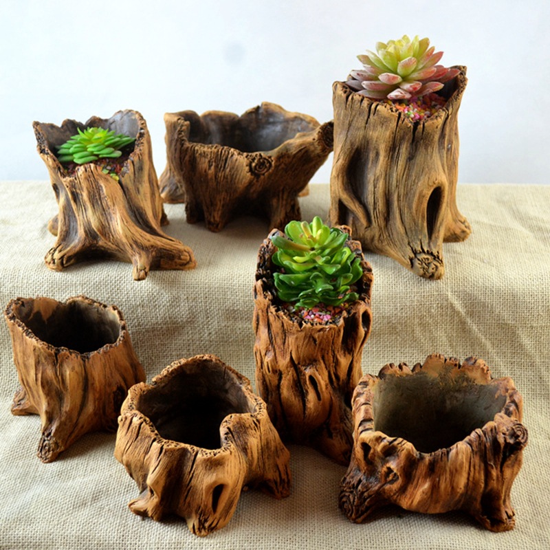Echeveria Succulent - Pali in legno imitazione Radici di