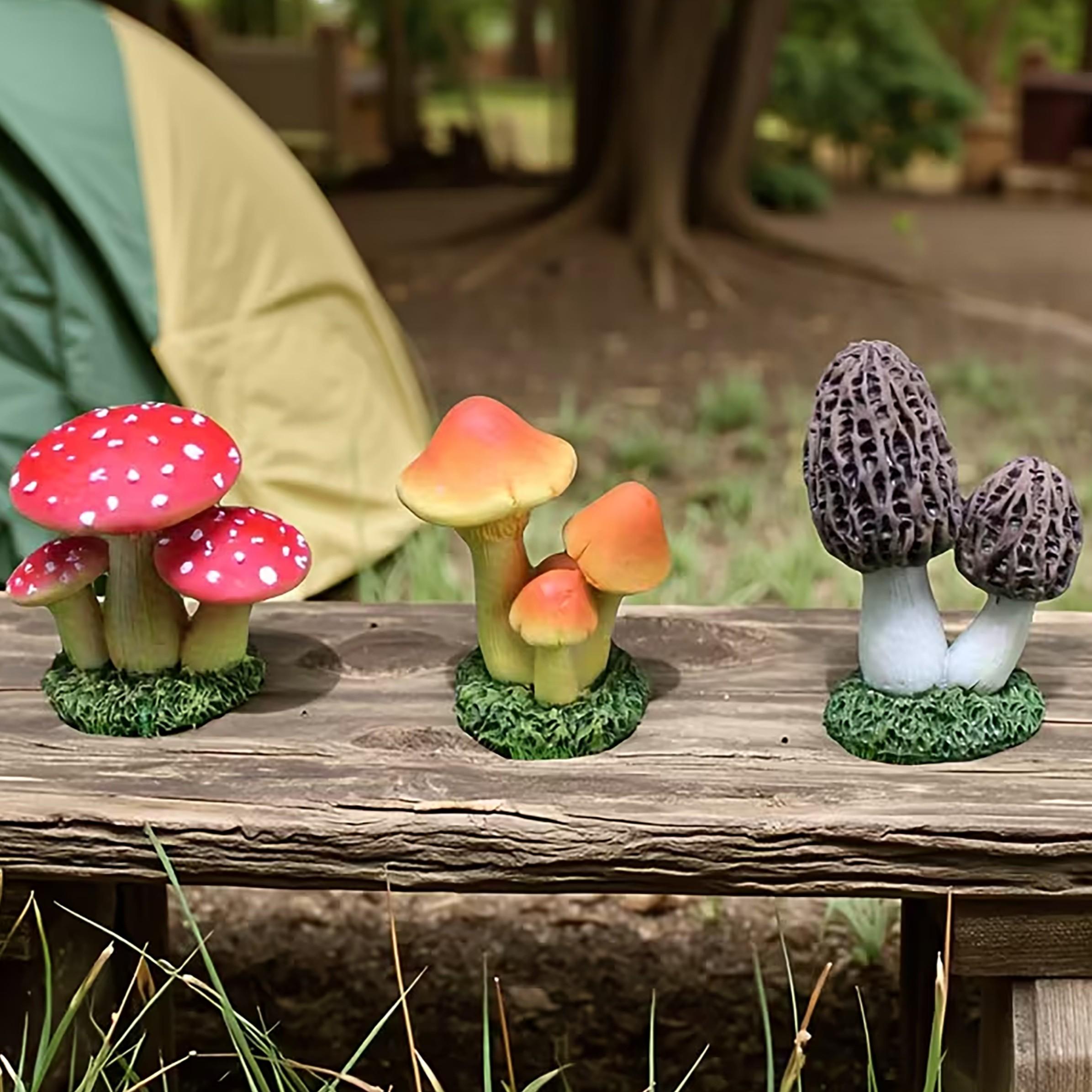 Echeveria Succulent - Set di 3 Pezzi di Funghi