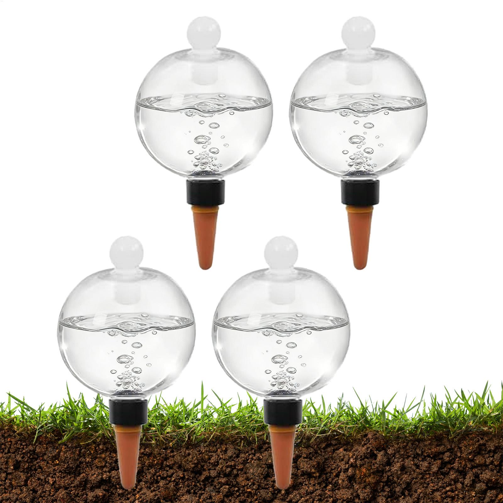 Globi per Irrigazione Piante 4 - Echeveria Succulent recensione e prezzo