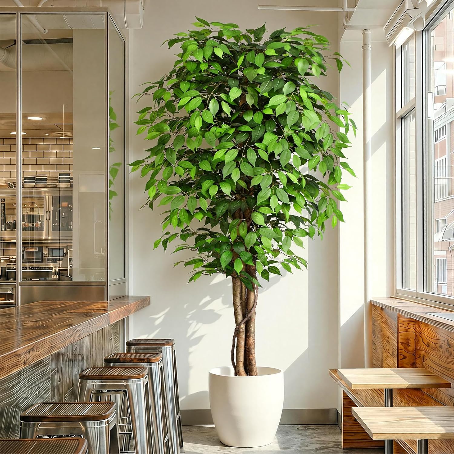 Albero di Ficus Artificiale Re - Ficus Lyrata Tree recensione e prezzo