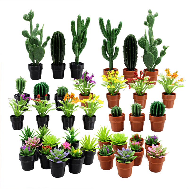 8 pezzi di piccole piante in v - Echeveria Succulent recensione e prezzo
