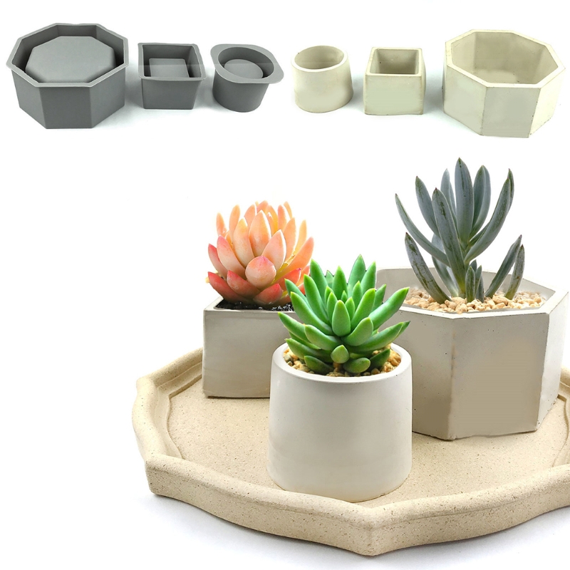 Fatto a mano succulente fiorie - Echeveria Succulent recensione e prezzo