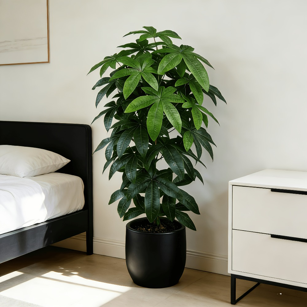 Albero della Fortuna Artificia - Ficus Lyrata Tree recensione e prezzo